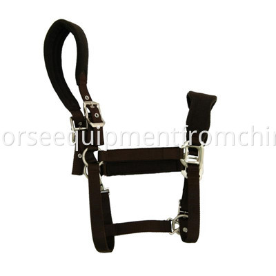 horse halter